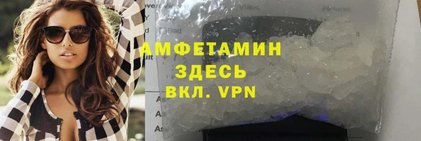 стаф Алзамай