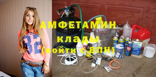 стаф Алзамай