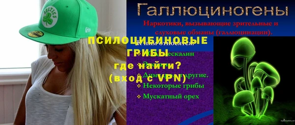 стаф Алзамай