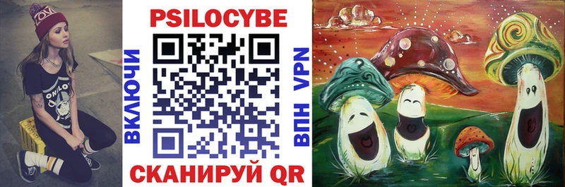 Псилоцибиновые грибы Psilocybe  как найти   Протвино 