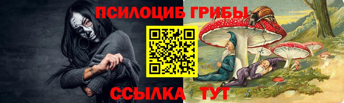 Галлюциногенные грибы GOLDEN TEACHER Протвино