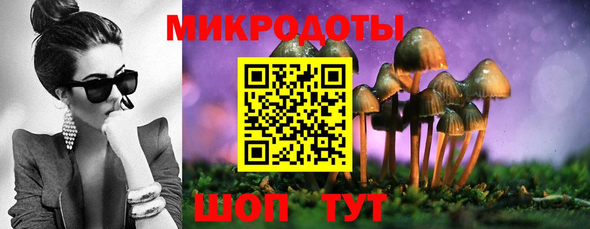 Псилоцибиновые грибы мухоморы  Вход с VPN  Протвино  Псилоцибиновые грибы Psilocybe 